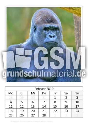 Februar_Flachland-Gorilla.pdf